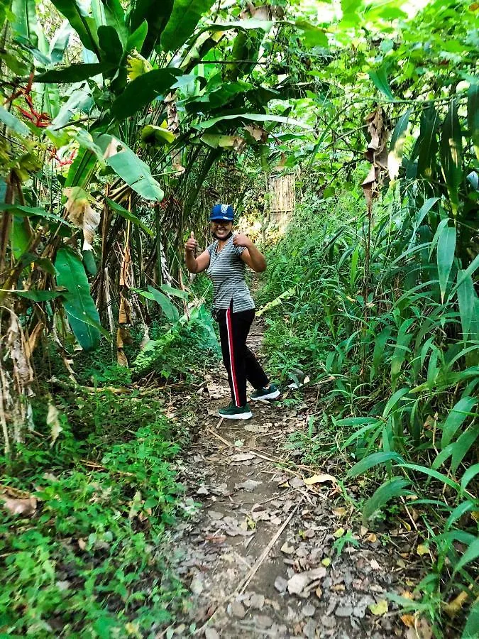 Rayshiva Homestay Ubud